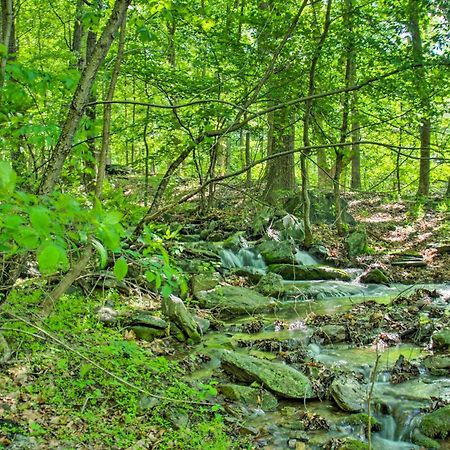 Renovated Studio On 5 Acres - Near Vineyards! Crozet Luaran gambar